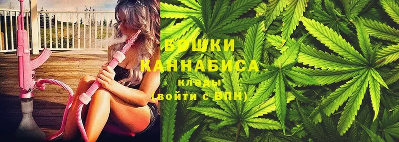 Бошки Шишки OG Kush  Бор 